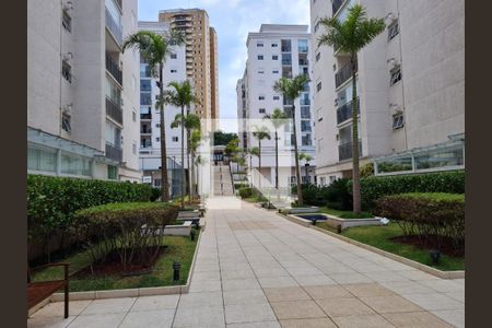 Foto 21 de apartamento à venda com 2 quartos, 58m² em Vila Polopoli, São Paulo