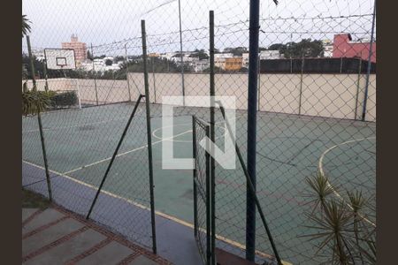 Foto 13 de apartamento à venda com 3 quartos, 72m² em São Bernardo, Campinas