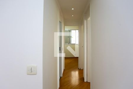 corredor de apartamento para alugar com 3 quartos, 55m² em Jardim Vera Cruz(zona Sul), São Paulo