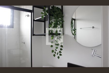 Banheiro de kitnet/studio para alugar com 1 quarto, 33m² em Cambuci, São Paulo