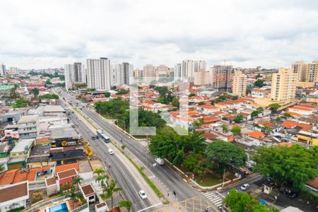 Vista do Quarto 1 de apartamento para alugar com 3 quartos, 65m² em Vila Santa Catarina, São Paulo