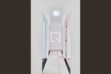 Corredor de apartamento para alugar com 3 quartos, 76m² em Jardim Paulista, São José dos Campos