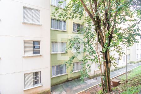 Vista do Quarto 1 de apartamento para alugar com 2 quartos, 47m² em São Pedro, Osasco