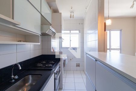 Sala/Cozinha / área de serviço de apartamento para alugar com 2 quartos, 62m² em Bussocaba, Osasco