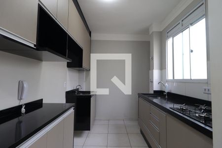 Cozinha de apartamento para alugar com 2 quartos, 45m² em Jardim Ouro Branco, Ribeirão Preto