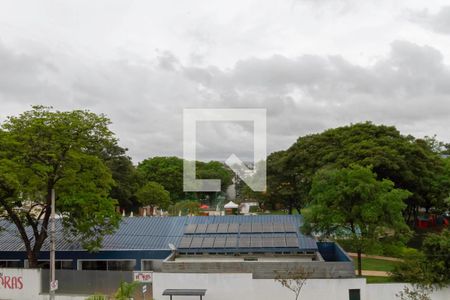 Vista da sala de apartamento à venda com 2 quartos, 85m² em Santa Amelia, Belo Horizonte