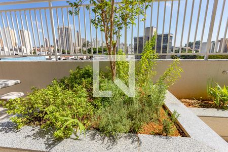 Apartamento à venda com 45m², 2 quartos e 1 vaga Apartamento à venda com 45m², 2 quartos e 1 vagaÁrea comum - horta