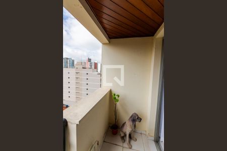 Varanda da Sala de apartamento à venda com 3 quartos, 77m² em Vila Lea, Santo André