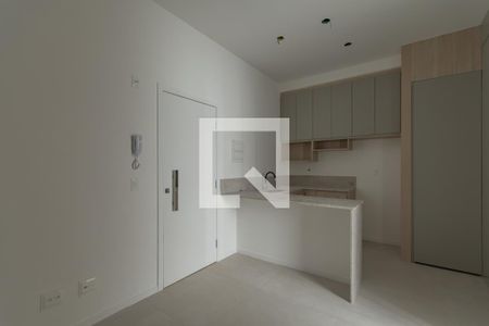 Sala de kitnet/studio para alugar com 1 quarto, 33m² em Paquetá, Belo Horizonte