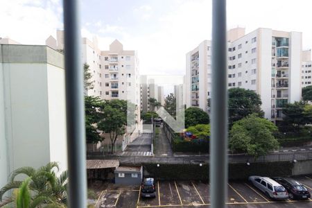 Vista Sala de apartamento à venda com 2 quartos, 52m² em Vila Amélia, São Paulo