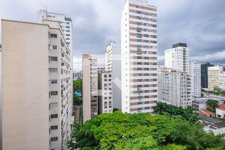 Sala - VIsta de apartamento para alugar com 3 quartos, 180m² em Jardim Paulistano, São Paulo