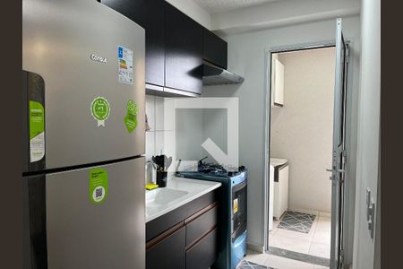 Cozinha de apartamento para alugar com 2 quartos, 45m² em Várzea da Barra Funda, São Paulo