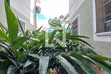 Vista do Quarto 1 de apartamento para alugar com 3 quartos, 62m² em Jardim Nova Europa, Campinas