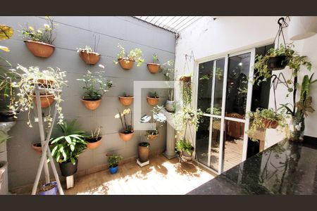 Área Externa de casa para alugar com 3 quartos, 250m² em Campinas , Campinas