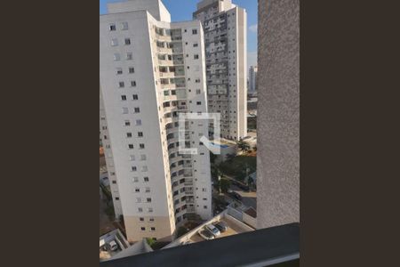 Foto 13 de apartamento à venda com 2 quartos, 43m² em Belenzinho, São Paulo