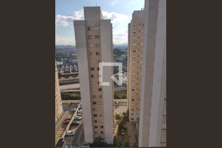 Foto 14 de apartamento à venda com 2 quartos, 43m² em Belenzinho, São Paulo