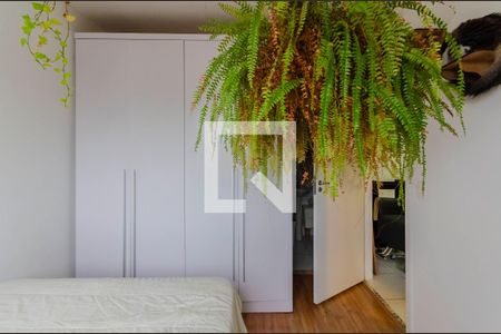 Quarto de apartamento para alugar com 1 quarto, 32m² em Cambuci, São Paulo