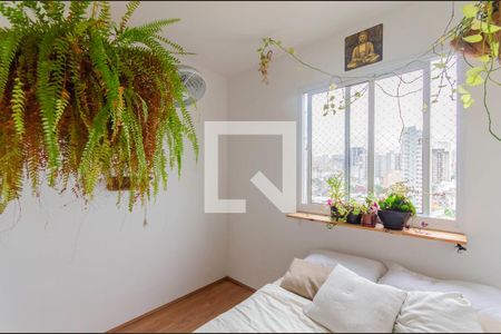 Quarto de apartamento para alugar com 1 quarto, 32m² em Cambuci, São Paulo