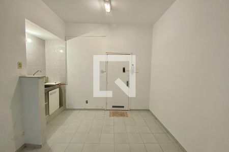 Sala/Quarto de apartamento à venda com 1 quarto, 25m² em Laranjeiras, Rio de Janeiro