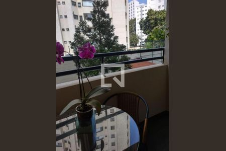 Foto 11 de apartamento à venda com 3 quartos, 70m² em Vila Monumento, São Paulo