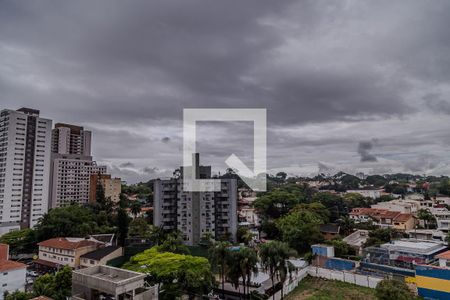 Vista da Varanda de apartamento para alugar com 2 quartos, 73m² em Vila Santa Catarina, São Paulo