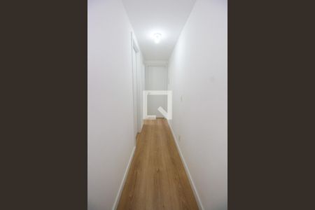 Corredor de apartamento para alugar com 2 quartos, 40m² em Jardim Parque Morumbi, São Paulo