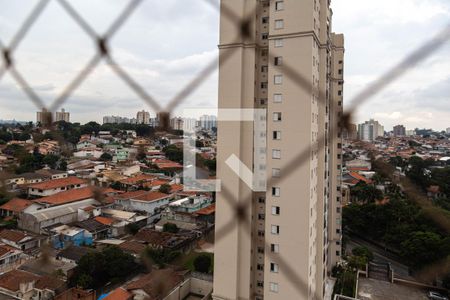 Apartamento para alugar com 114m², 3 quartos e 2 vagas Apartamento para alugar com 114m², 3 quartos e 2 vagasVista do Quarto 1