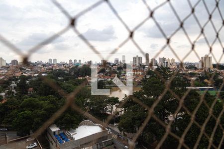 Apartamento para alugar com 114m², 3 quartos e 2 vagas Apartamento para alugar com 114m², 3 quartos e 2 vagasVista do Quarto 2