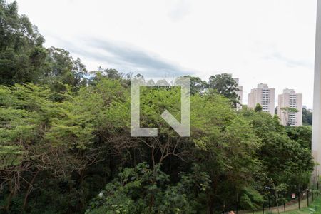 Vista da Sala/Cozinha de apartamento à venda com 2 quartos, 33m² em Jardim Celeste, São Paulo