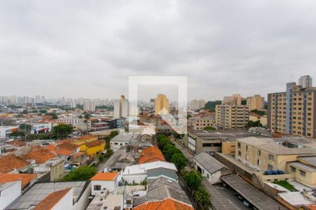 Apartamento à venda com 2 quartos, 98m² em Cambuci, São Paulo