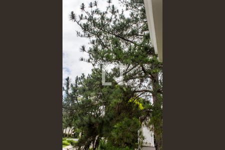 Casa de condomínio para alugar com 609m², 4 quartos e 4 vagas Casa de condomínio para alugar com 609m², 4 quartos e 4 vagasVista da Suíte