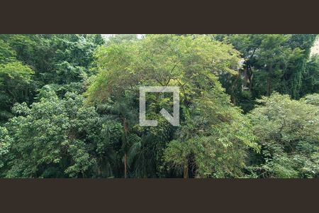 Vista da Varanda de apartamento à venda com 3 quartos, 104m² em Vila Sonia, São Paulo