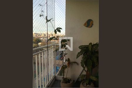 Apartamento à venda com 3 quartos, 61m² em Vila Guilherme, São Paulo