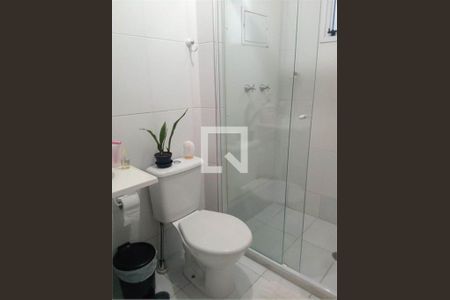 Apartamento à venda com 3 quartos, 61m² em Vila Guilherme, São Paulo