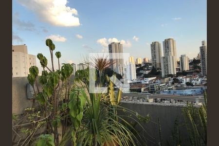 Apartamento à venda com 3 quartos, 117m² em Jardim Aeroporto, São Paulo