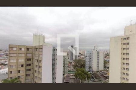 Apartamento à venda com 2 quartos, 64m² em Vila Mascote, São Paulo