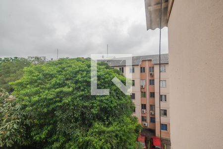 Vista de apartamento para alugar com 2 quartos, 58m² em Cavalhada, Porto Alegre