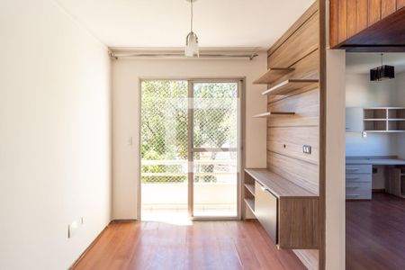 Sala de apartamento à venda com 2 quartos, 50m² em Vila Matilde, São Paulo