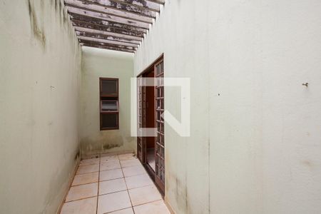 Jardim de Inverno de casa para alugar com 4 quartos, 173m² em Planalto, Uberlândia