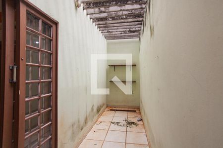 Jardim de Inverno de casa para alugar com 4 quartos, 173m² em Planalto, Uberlândia