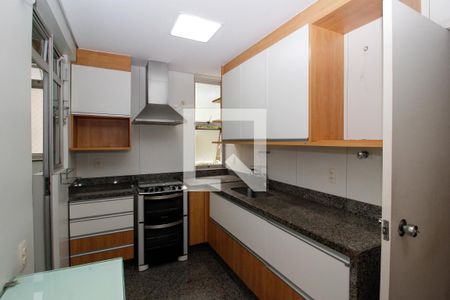 Cozinha e Área de Serviço de apartamento para alugar com 3 quartos, 160m² em Santo Antônio, Belo Horizonte