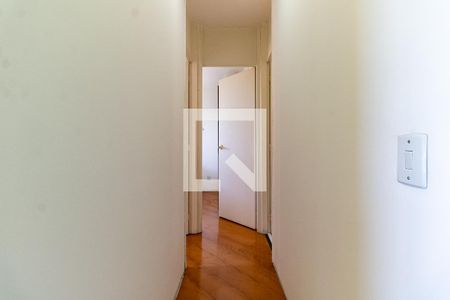 Corredor de apartamento para alugar com 2 quartos, 49m² em Sacoma, São Paulo