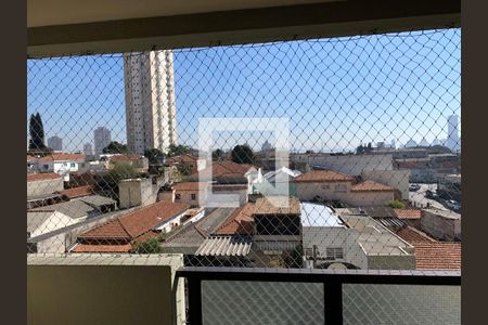 Apartamento à venda com 3 quartos, 74m² em Vila Bertioga, São Paulo