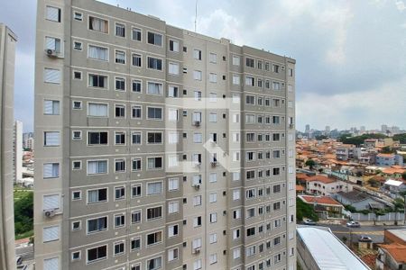 Vista do Quarto 2 de apartamento para alugar com 2 quartos, 43m² em Villa Garden, Campinas