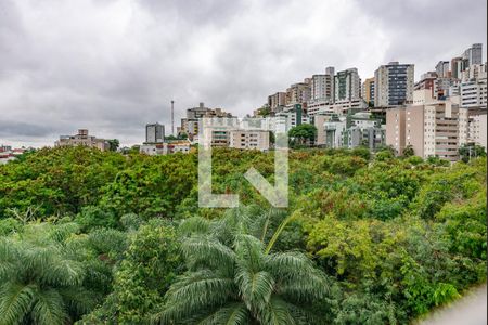 Varanda da Sala de apartamento à venda com 2 quartos, 70m² em Buritis, Belo Horizonte