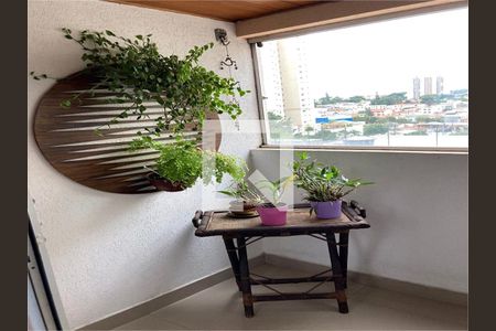 Apartamento à venda com 3 quartos, 73m² em Vila Santa Catarina, São Paulo