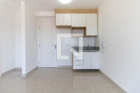 Cozinha de apartamento para alugar com 1 quarto, 33m² em Vila Nair, São Paulo