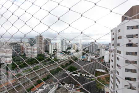 Vista da Varanda de apartamento à venda com 2 quartos, 66m² em Vila Zilda, São Paulo