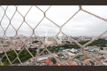 Vista do Quarto 1 de apartamento à venda com 2 quartos, 37m² em Vila Pierina, São Paulo