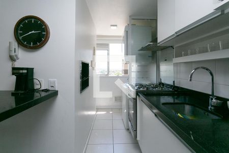 Cozinha de apartamento para alugar com 2 quartos, 57m² em Jardim Carvalho, Porto Alegre